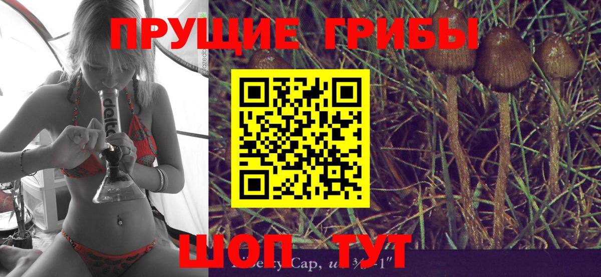 Ставрополь  Галлюциногенные грибы Psilocybe  Вход с VPN 